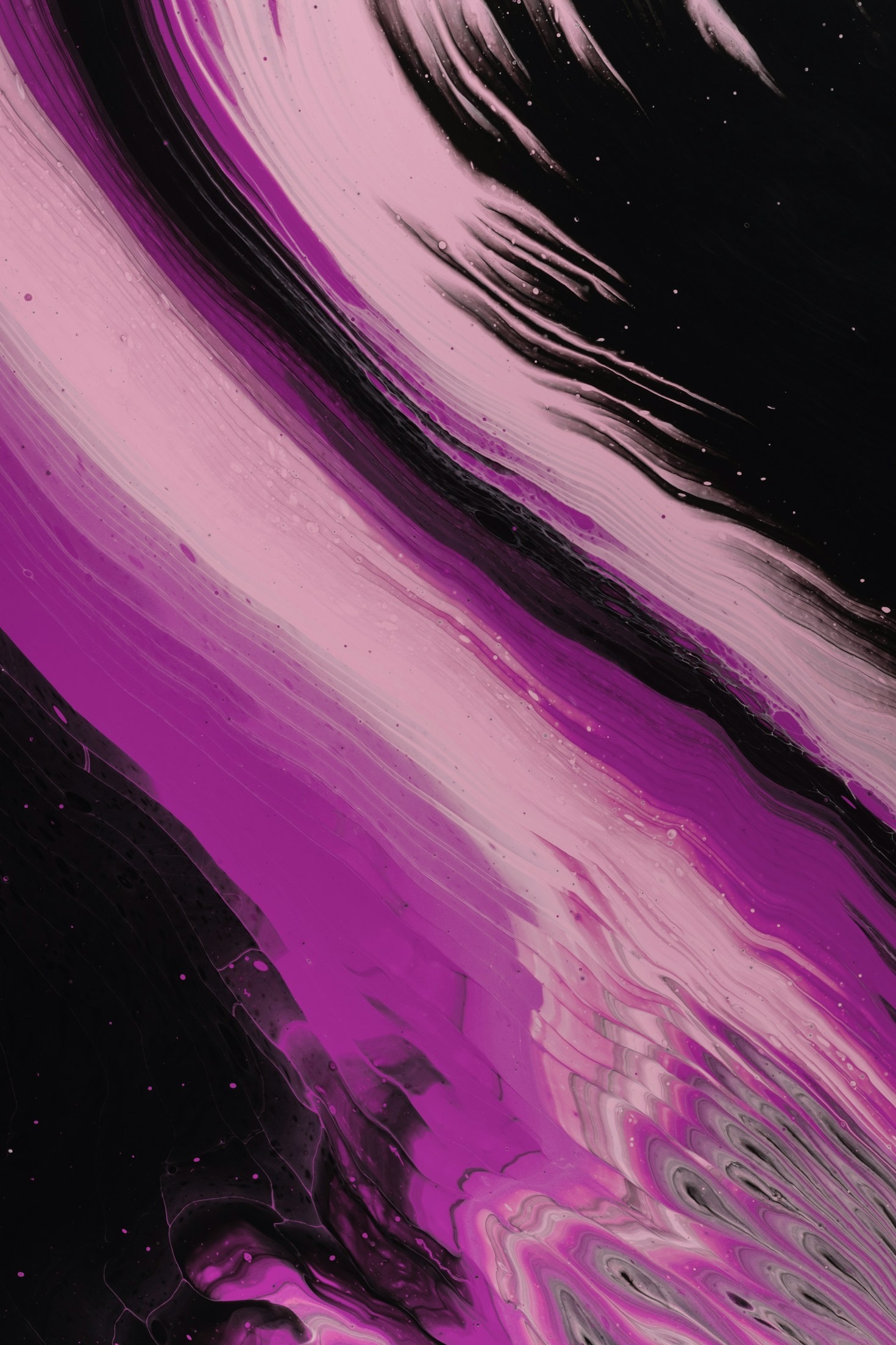 The Harmony Between Visual Arts And Philosophy